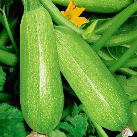 娱乐圈吃瓜三个孩子是谁