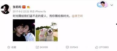 娱乐圈吃瓜张翰视频大全,张翰视频大全，吃瓜群众必看！