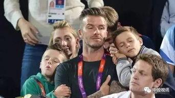 吃瓜群娱乐圈,吃瓜群里的八卦盛宴